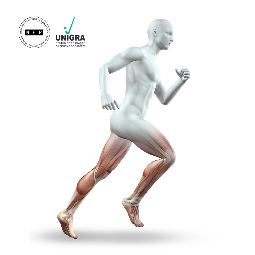 5 sugestões de livros para estudar biodinâmica do movimento humano