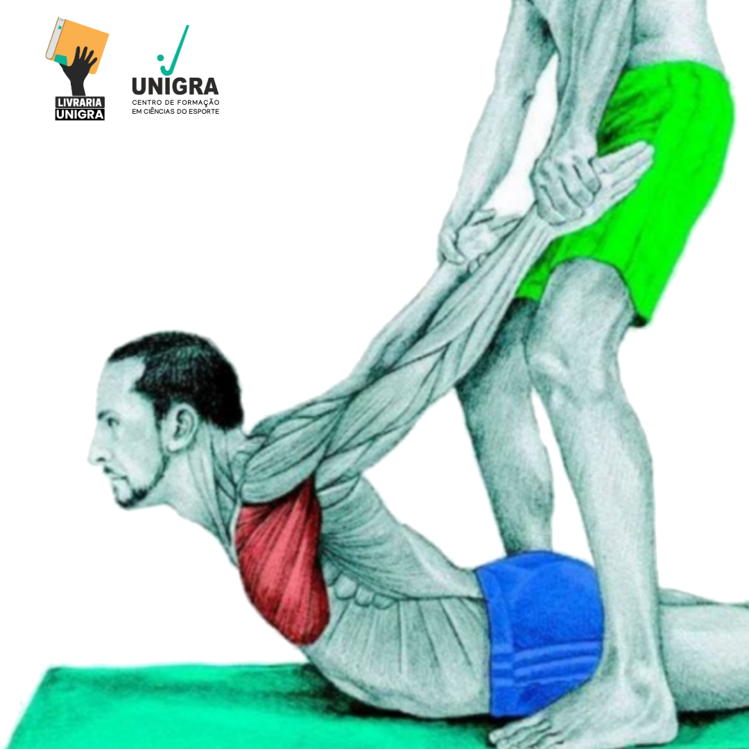 6 sugestões de livros para aprender sobre alongamentos e flexibilidade. Último livro baixe gratuitamente!